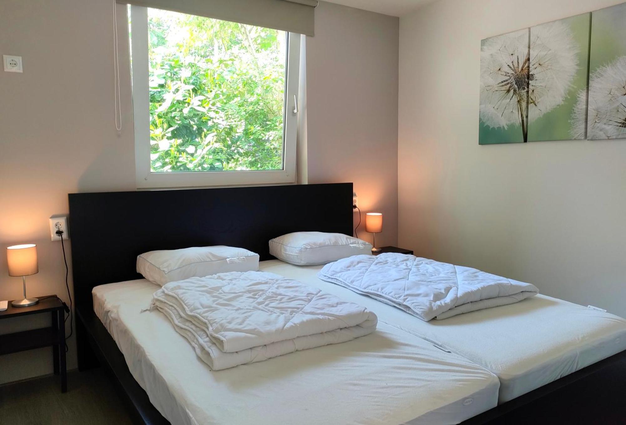 Bungalowpark De Bremerberg ビッディングハイゼン 部屋 写真