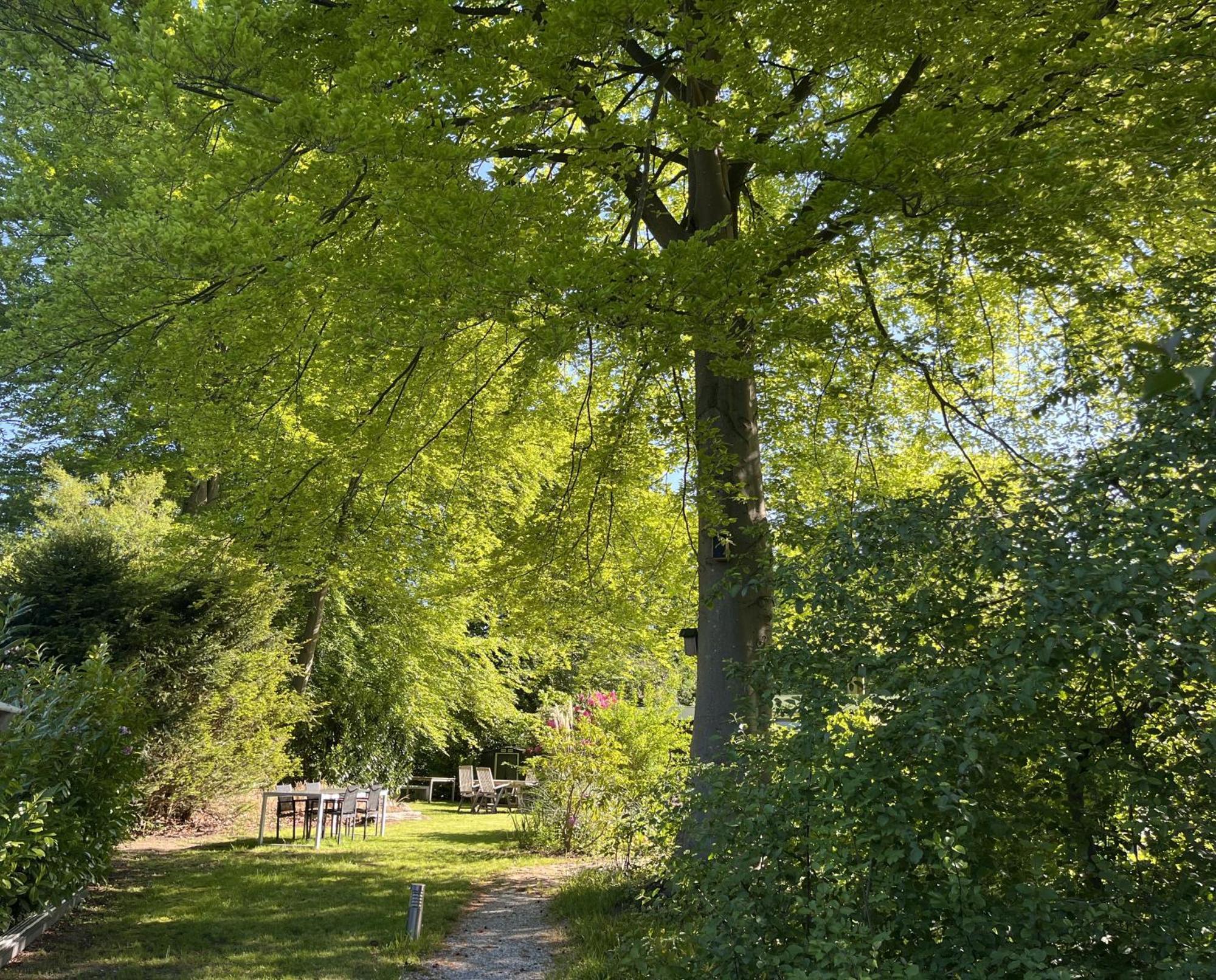 Bungalowpark De Bremerberg ビッディングハイゼン 部屋 写真
